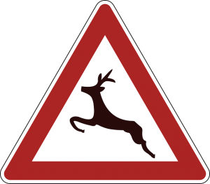 Kaufman & Stigger, PLLC | Injuries Caused by Car Accidents with Deer in Kentucky and Indiana -  Image Name 