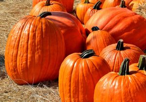 Kaufman & Stigger, PLLC | Kentucky Halloween Accidents and Injuries - pumpkins-1572864_640