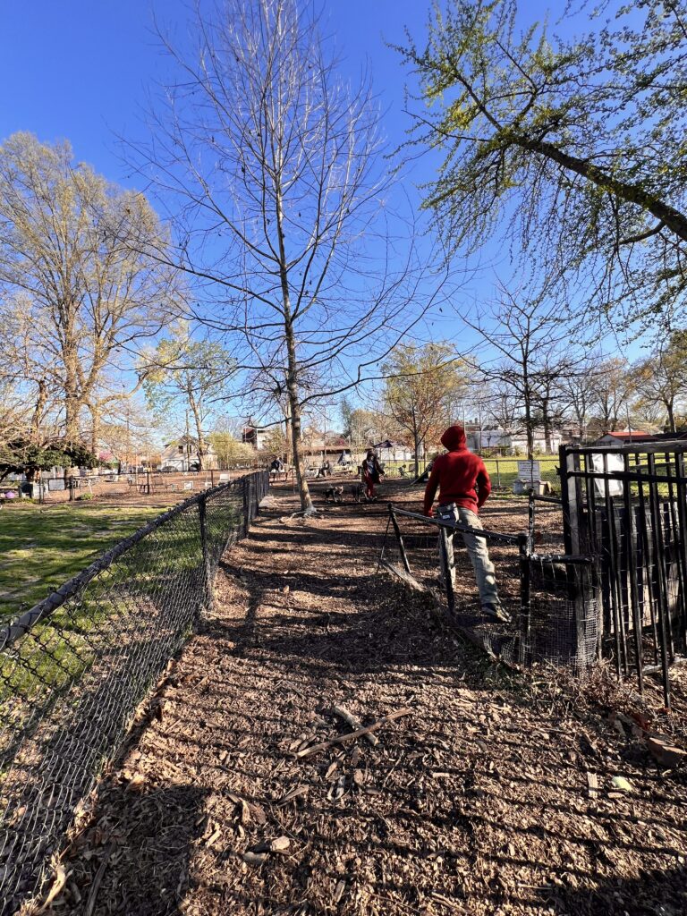 Kaufman & Stigger, PLLC | Louisville Dog Bite Attorneys Kaufman & Stigger, PLLC|Louisville Dog Bite Attorneys-Morton Avenue Dog Park